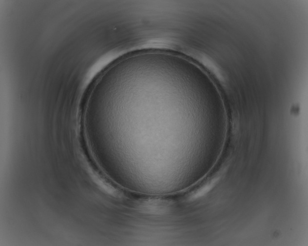 X0000093521077200710121540