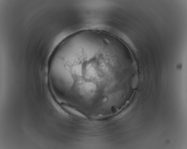 X0000093521079200710121540
