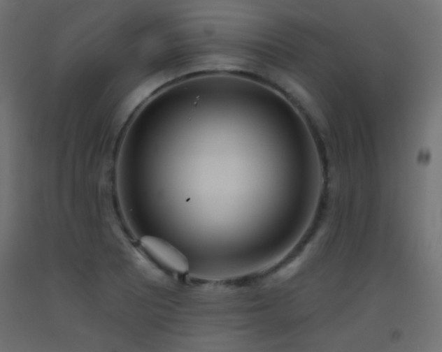 X0000093521081200710121540