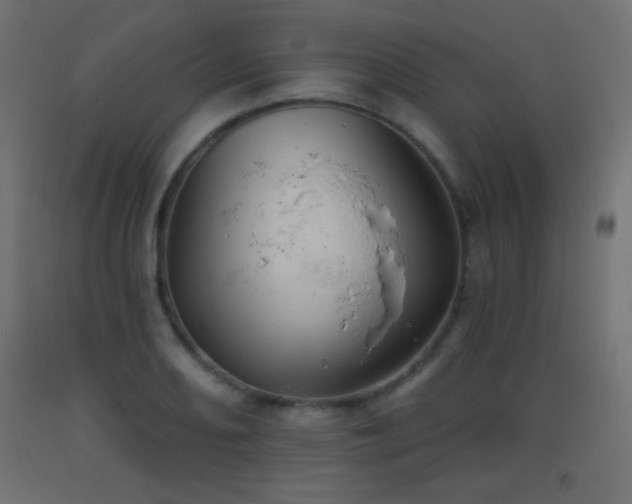 X0000093521082200710121540