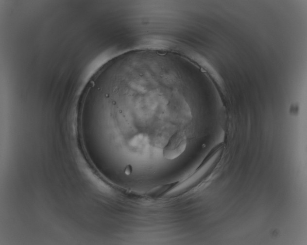 X0000093521083200710121540