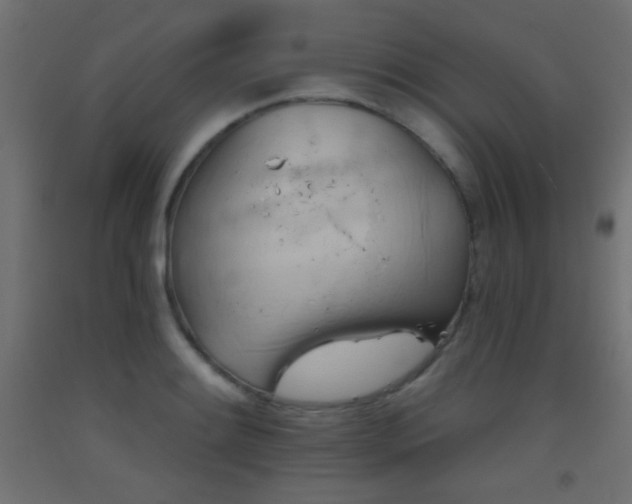 X0000093521084200710121540