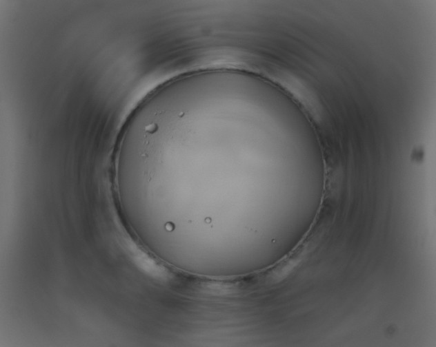 X0000093521086200710121540