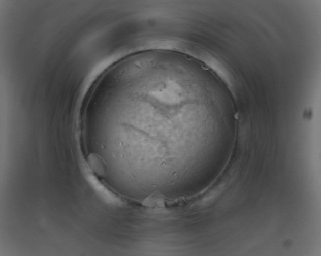X0000093521088200710121540
