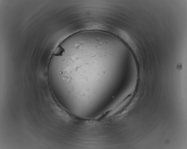 X0000093521089200710121540