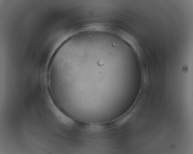 X0000093521090200710121540
