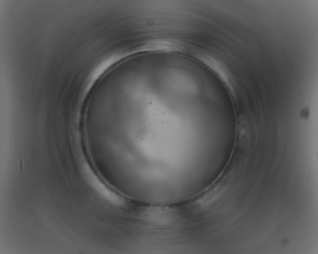 X0000093521091200710121540