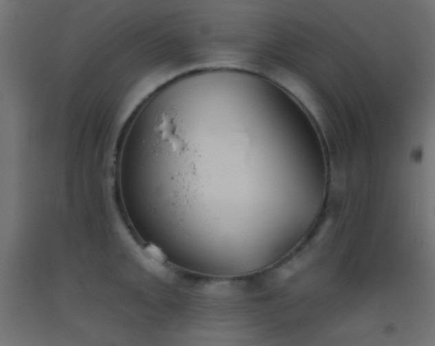 X0000093521093200710121540