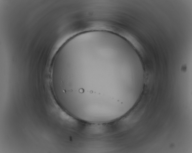 X0000093521094200710121540