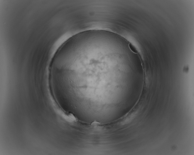 X0000093521096200710121540