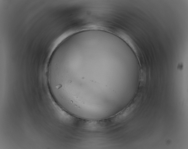 X0000093521098200710121540