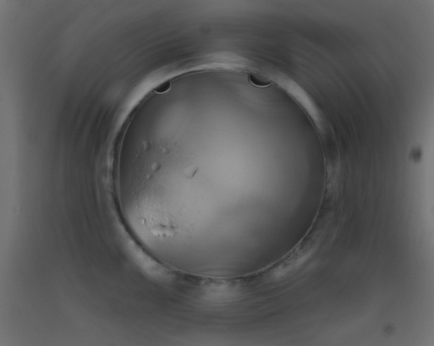 X0000093521099200710121540