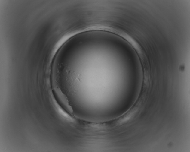 X0000093521102200710121540