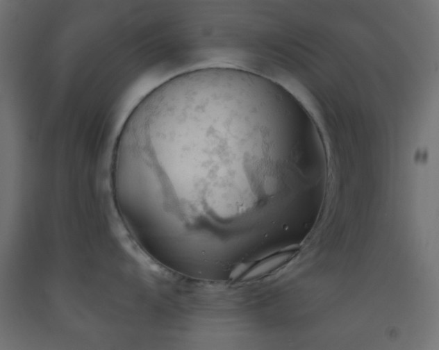X0000093521104200710121540