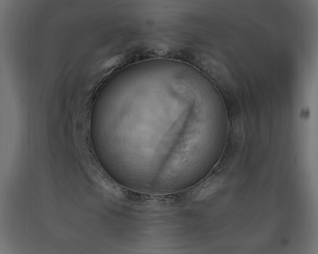 X0000093521105200710121539