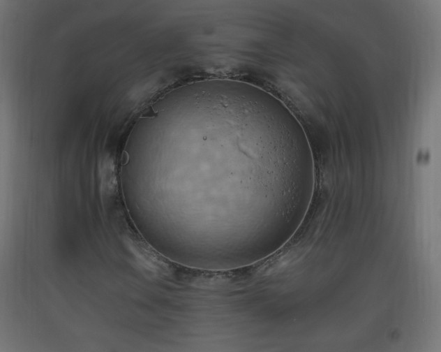 X0000093521106200710121539