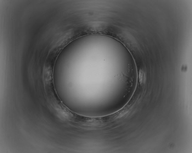 X0000093521107200710121539