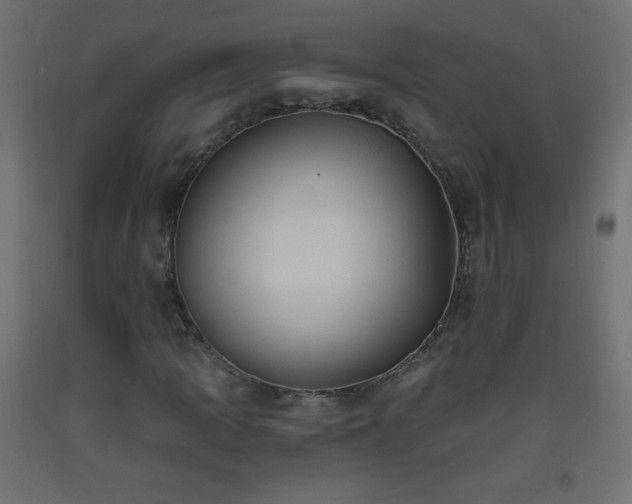 X0000093521109200710121539
