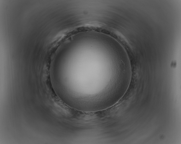 X0000093521110200710121539