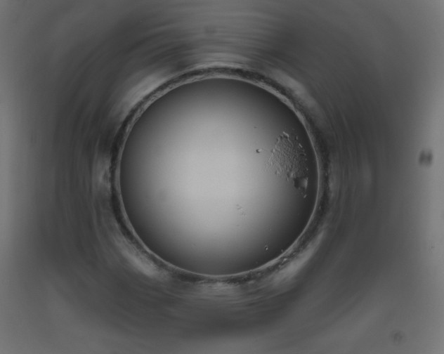 X0000093521113200710121539