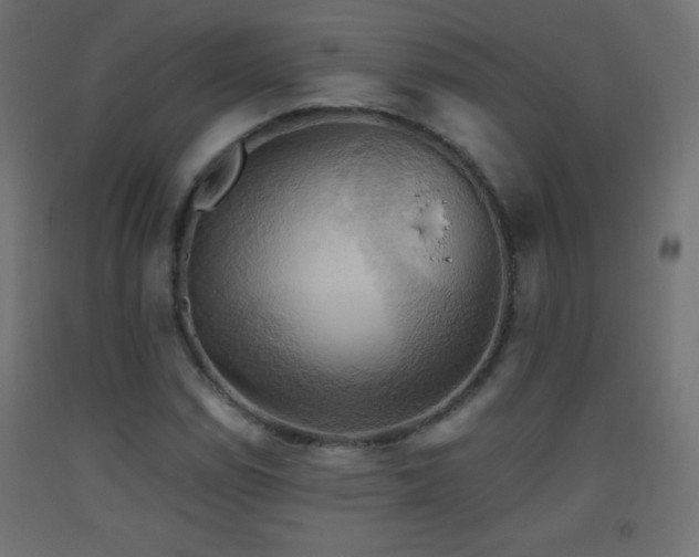 X0000093521114200710121539