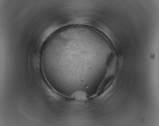 X0000093521115200710121539