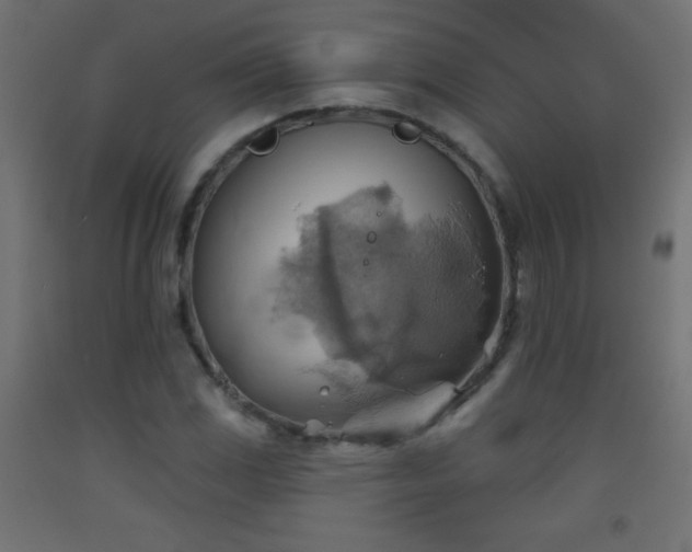 X0000093521117200710121539