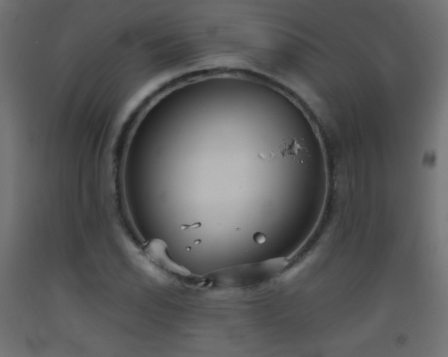 X0000093521118200710121539