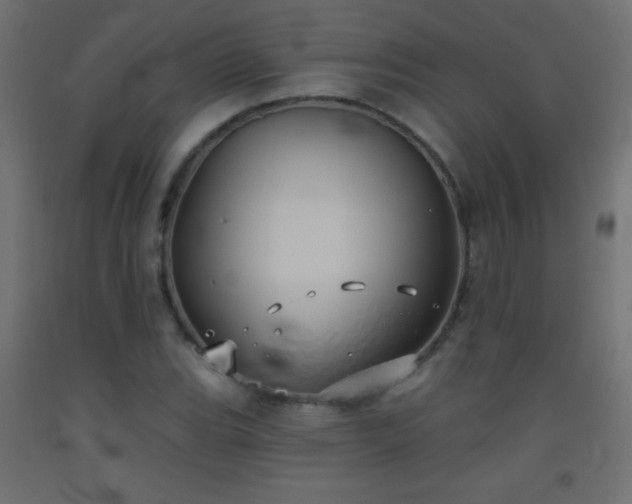 X0000093521119200710121539