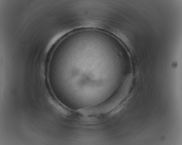 X0000093521120200710121539