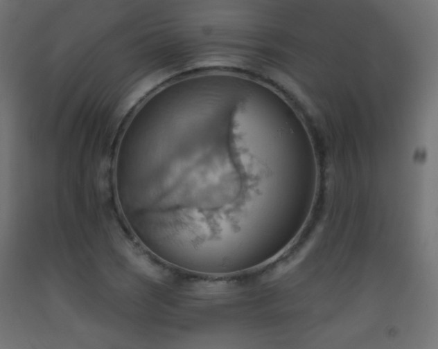 X0000093521121200710121539
