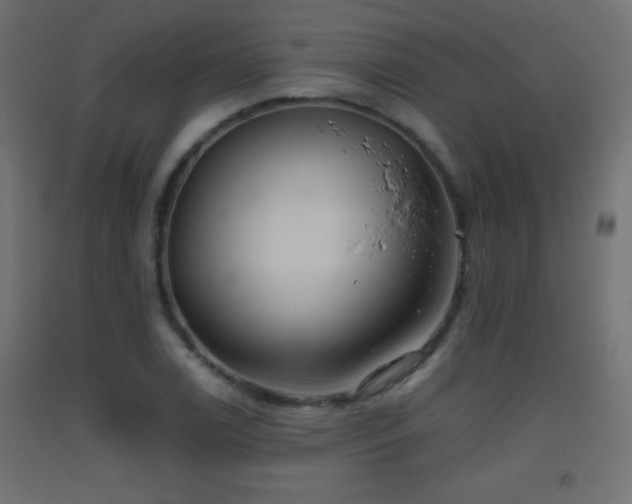 X0000093521122200710121539