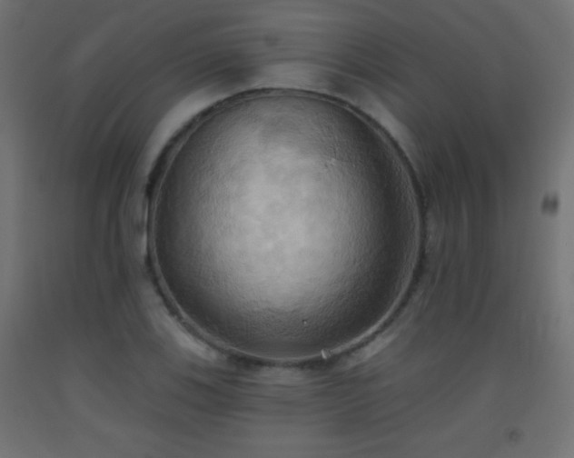 X0000093521123200710121539