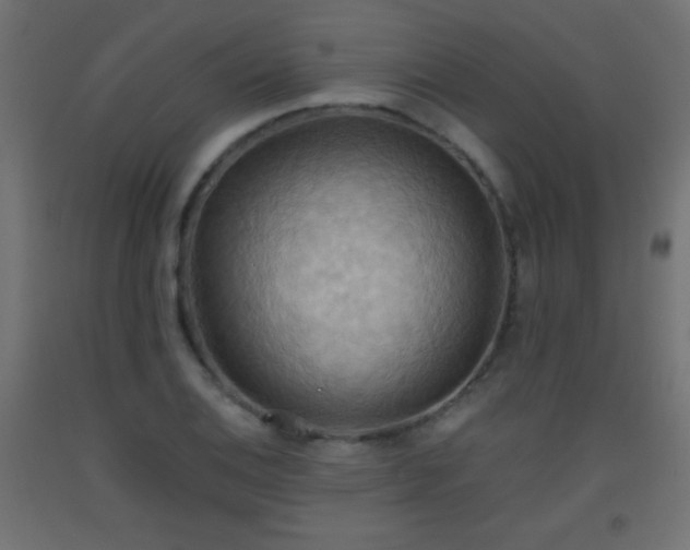 X0000093521124200710121539