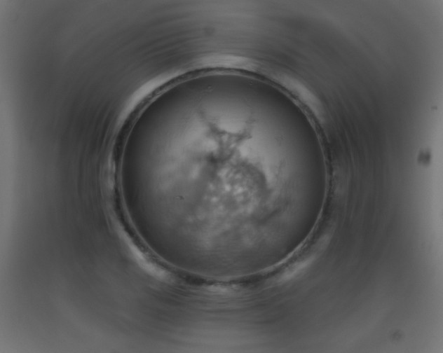 X0000093521125200710121539