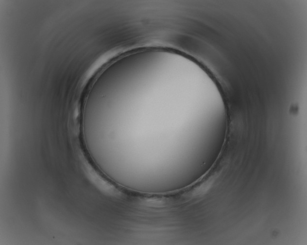 X0000093521126200710121539
