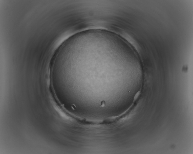 X0000093521127200710121539
