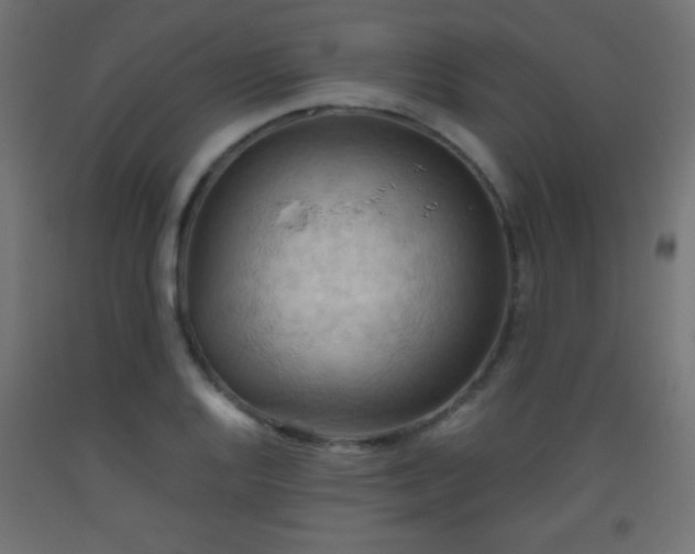 X0000093521128200710121539