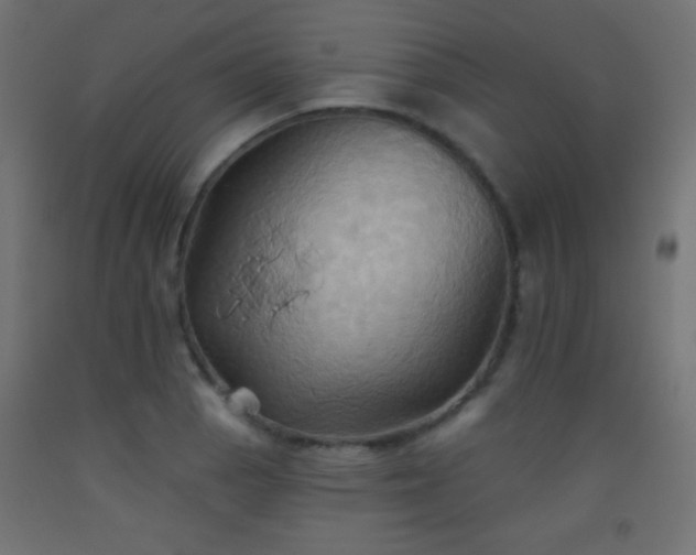 X0000093521129200710121539