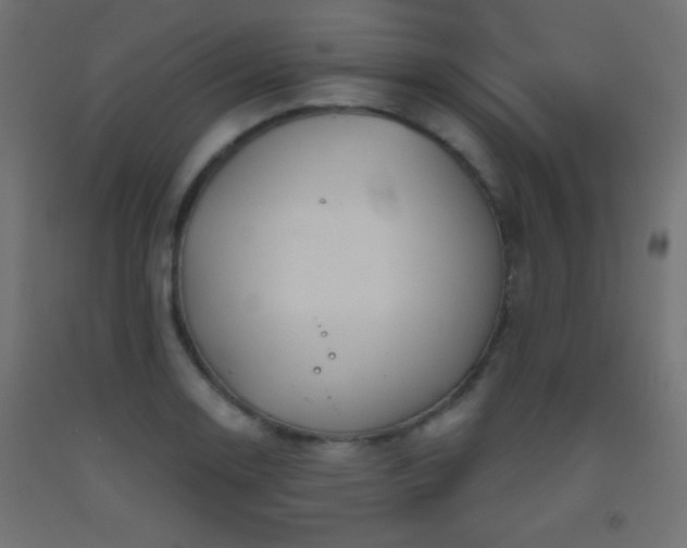 X0000093521130200710121539