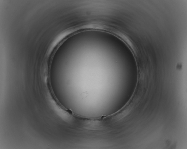 X0000093521131200710121539