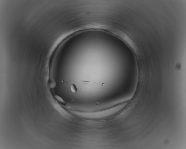 X0000093521132200710121539