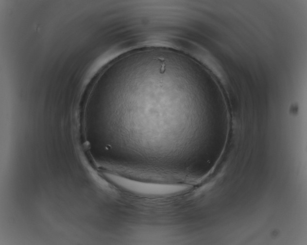 X0000093521133200710121539