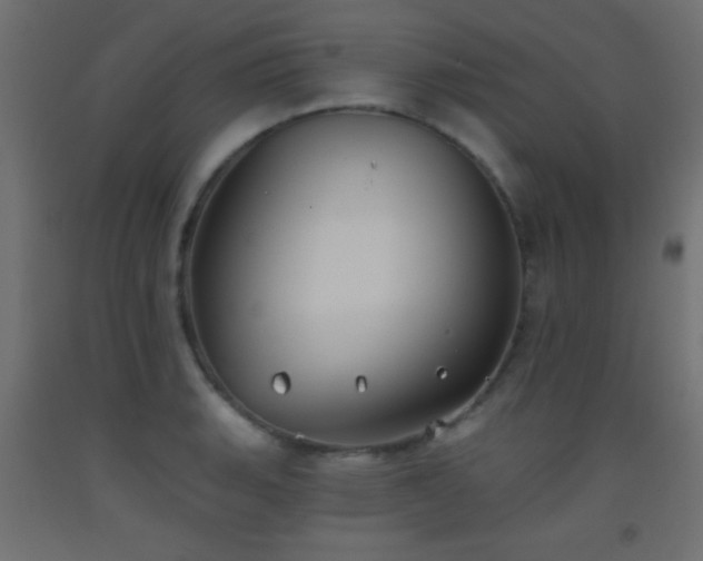 X0000093521135200710121539