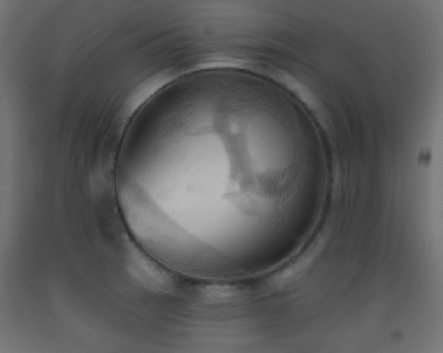 X0000093521137200710121540