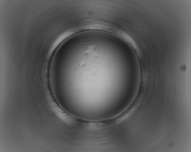 X0000093521138200710121540