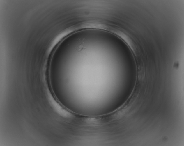 X0000093521139200710121540