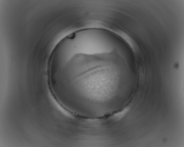 X0000093521142200710121540