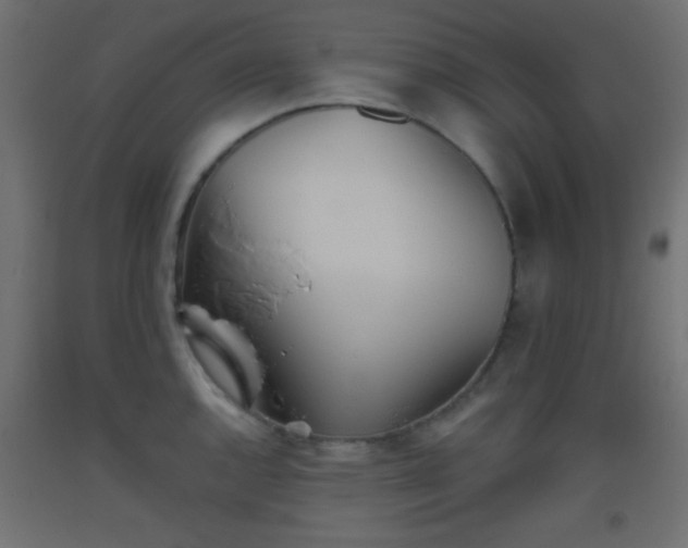 X0000093521144200710121540