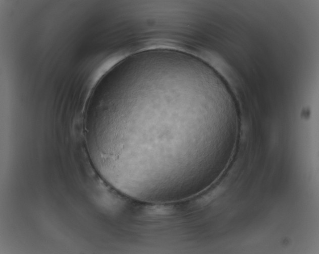 X0000093521145200710121540